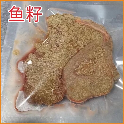丹江口市小银鱼 水产品丰富