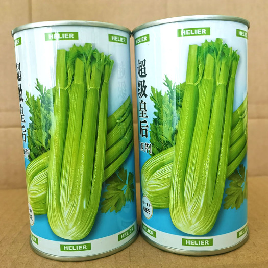 皇后西芹菜种子  皇后西芹种子 耐抽薹 耐高温生 长速