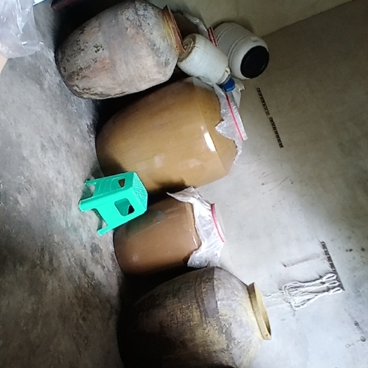 仁怀市红缨子高粱种子    永庆酿酒作坊，高梁种子