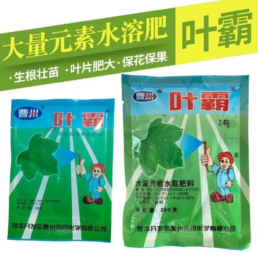 乐陵市黄腐酸钾 曹州叶霸叶面肥大量元素水溶肥蔬菜玉米花生果树花卉黄叶变绿