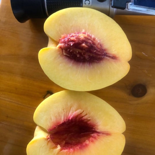 炎陵县 炎陵黄桃