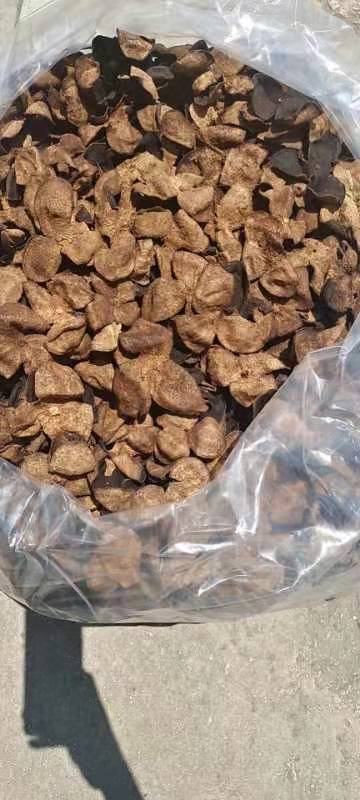 广州 陈皮新会陈皮，原产地发货价格便宜！