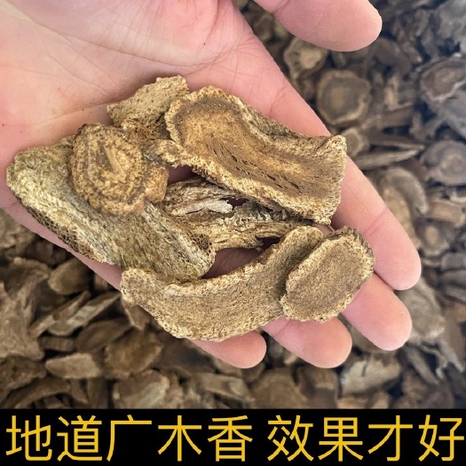 亳州广木香新货缅甸广木香云木香中药材无硫精选木香中