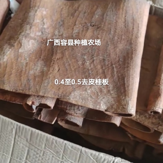 玉林厚肉桂 广西容县种植农场去皮桂板0.4  0.5