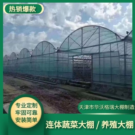 天津大棚管 温室大棚 大棚骨架 农业温室