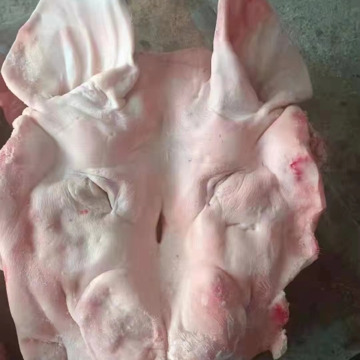  一级肥猪头带耳，11-13斤，现货10吨，吉林提
