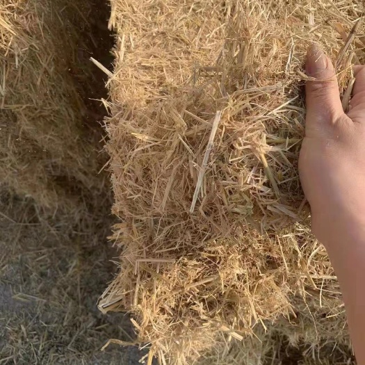 长春玉米秸秆 秸秆柔丝方包