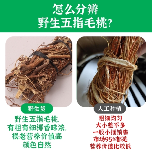 云霄县福建特产五指毛桃根新鲜七指毛桃