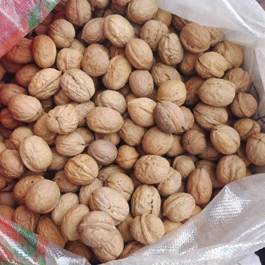 赞皇县新疆大杂果薄皮核桃