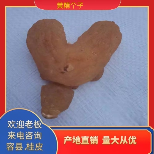 亳州黄精，黄精个子，黄精片子大货批发