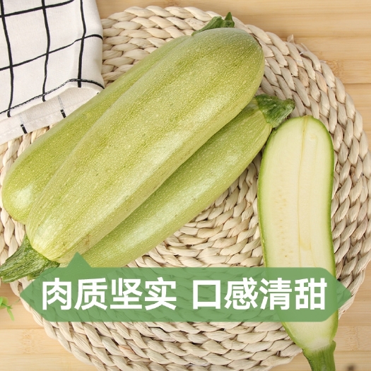 万荣县绿皮西葫芦 西葫芦