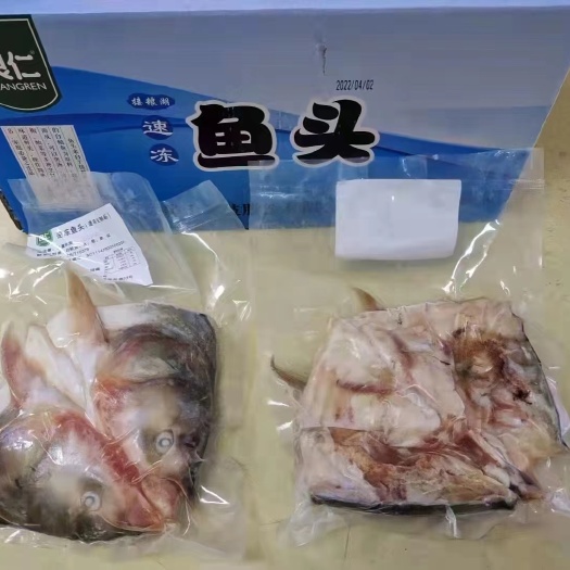 济南白鲢鱼 剁椒鱼头胖头鱼冷冻真空索鲜酸菜淡水鲢鱼头酒店半成品火
