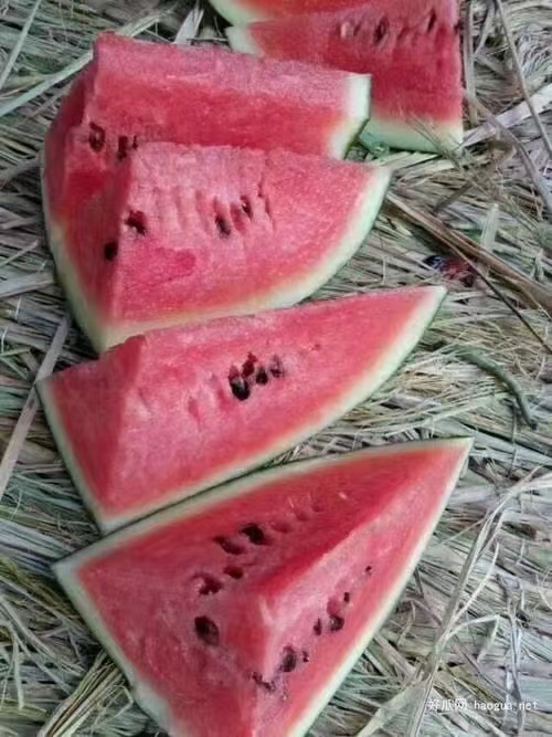 甜王西瓜 甜王，西瓜