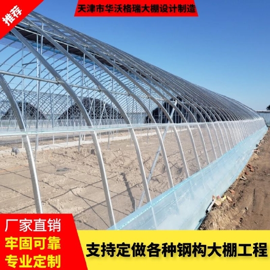天津大棚骨架 热镀锌大棚管 蔬菜大棚  养殖大棚