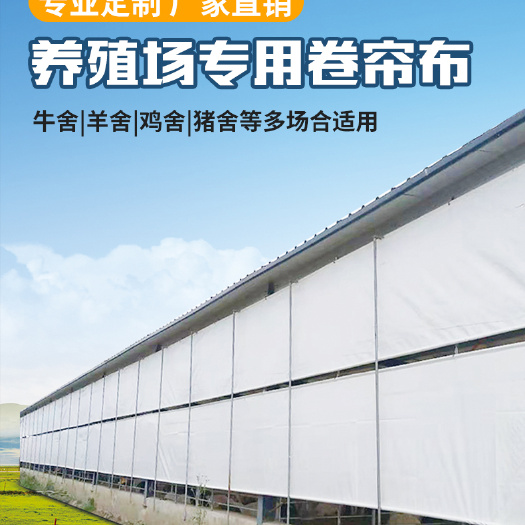 水簾 牛場卷簾布豬場卷簾布養(yǎng)殖場卷簾布防水帆布