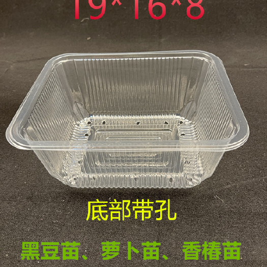 临沂水培容器 批发活体芽苗菜透明种植盒育苗盘豌豆苗透明种植塑盒