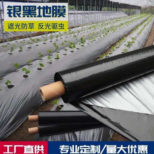 厂家直销银黑双色地膜 全新原料 蔬菜瓜果  果树苗木专