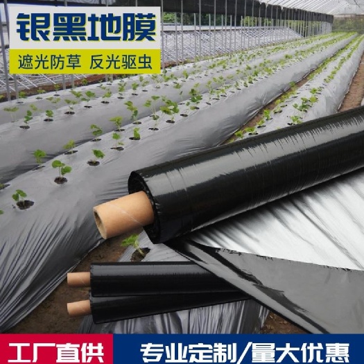 厂家直销银黑双色地膜 全新原料 蔬菜瓜果 果树苗木专