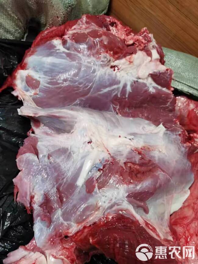 牛肉类 牛肉，新鲜纯干牛肉四分体