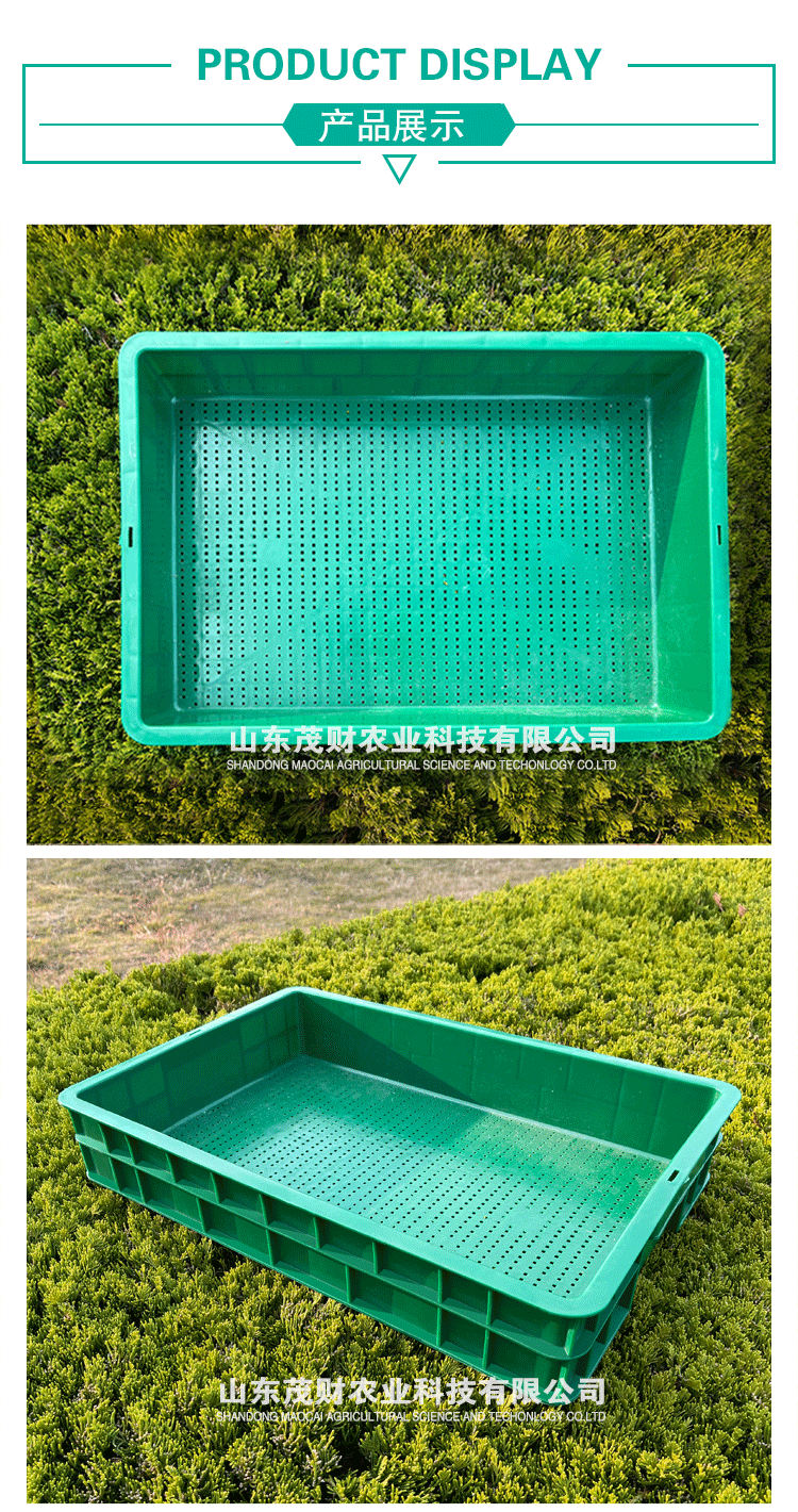 种植箱/育苗箱 厂家直销绿色96育苗盘豌豆苗黄豆芽苗菜无土栽培加厚芽苗菜种植