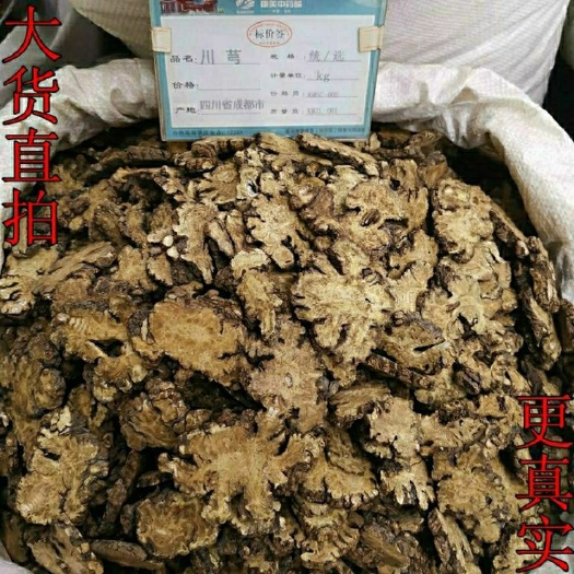 亳州川芎 正芎无硫川芎 晒货川芎【假一赔十】