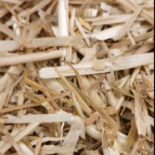 郓城县大量预售小麦秸秆量大从优 新草可定制 自家种的地