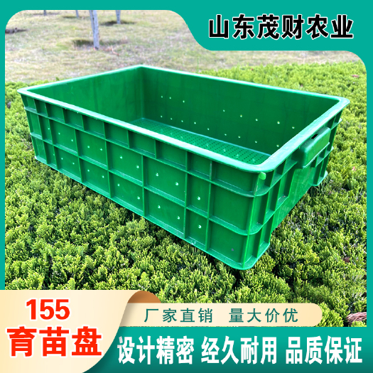 种植箱/育苗箱 厂家直销绿色155育苗盘豌豆黄豆芽苗菜无土栽培加厚芽苗菜种植