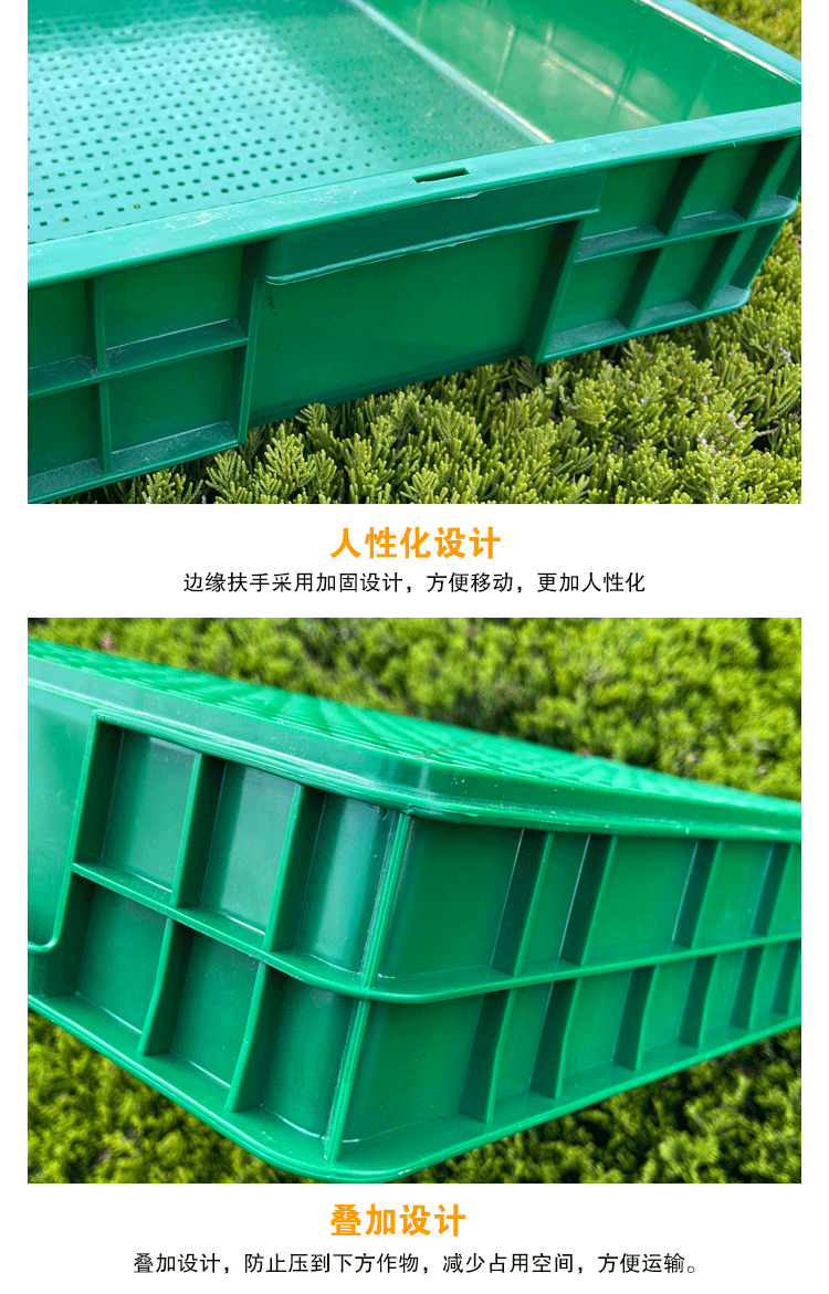 种植箱/育苗箱 厂家直销绿色96育苗盘豌豆苗黄豆芽苗菜无土栽培加厚芽苗菜种植