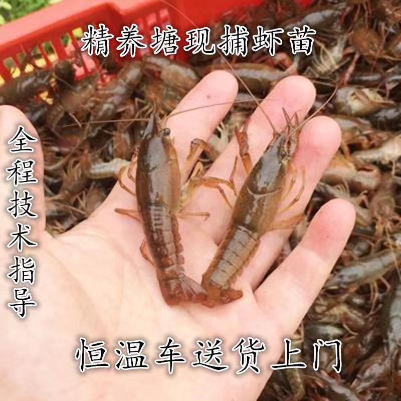 ǱǱֱСϺ絭ˮֳϺϺ