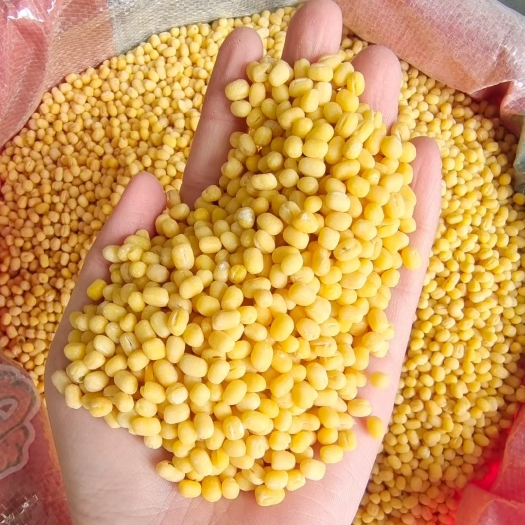 临沂明绿豆  脱皮绿豆，脱皮绿豆瓣专用，糕点.食品馅料，，