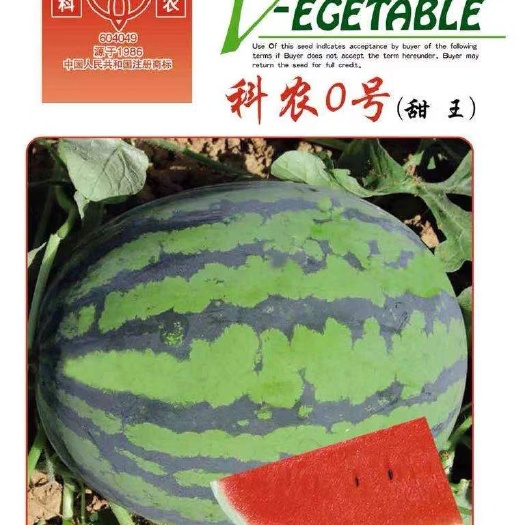  科农0号西瓜种子，产量高，口感好，抗性强，品质好