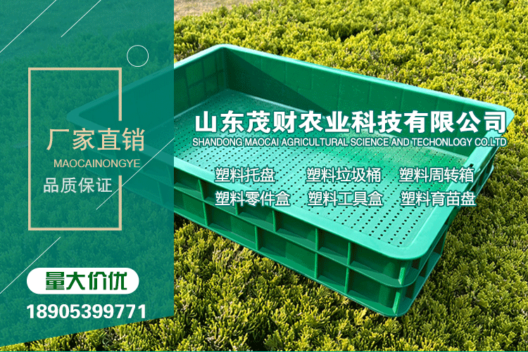 种植箱/育苗箱 厂家直销绿色96育苗盘豌豆苗黄豆芽苗菜无土栽培加厚芽苗菜种植