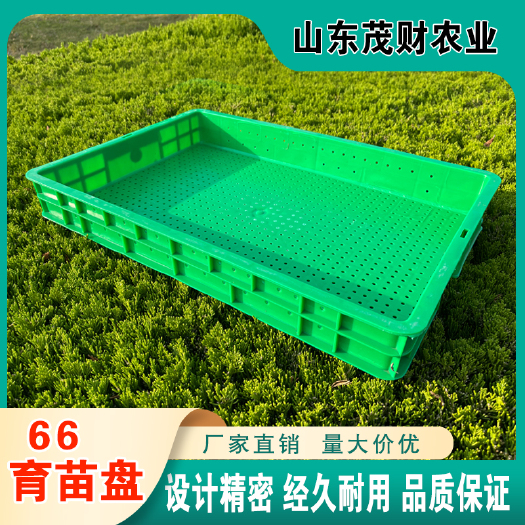 种植箱/育苗箱  育苗箱 绿色66育苗盘豌豆苗黄豆芽苗菜无土栽培加厚芽苗菜种植