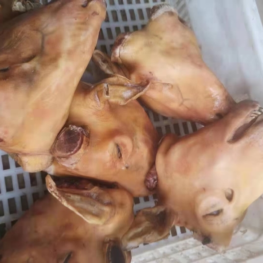 河间市育肥羔羊小羊头      卤煮佳品