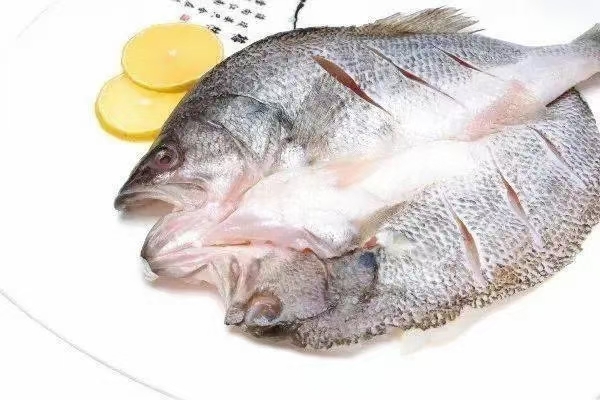 济南海鲈鱼 各种各样的海鲈鱼从11条到19条规格都有。