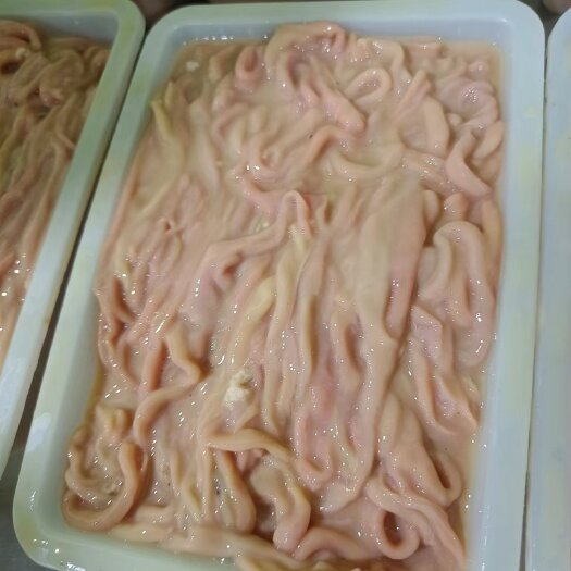 昆明鸭肠纯干新鲜冷冻鸭肠