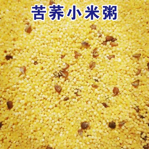 濮阳县黄小米 苦荞小米