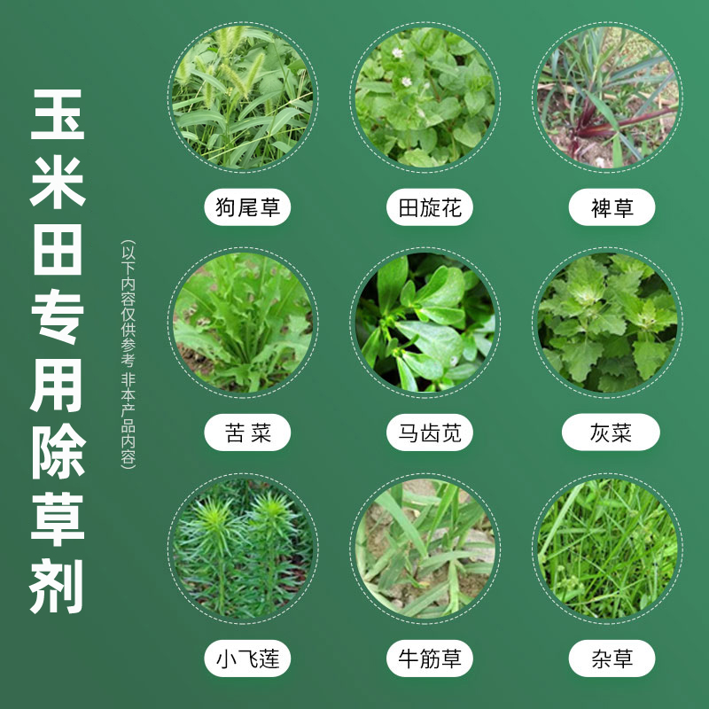 烟嘧莠去津  烟密锈去津玉米田专用除草剂，苗后除草剂，安全，