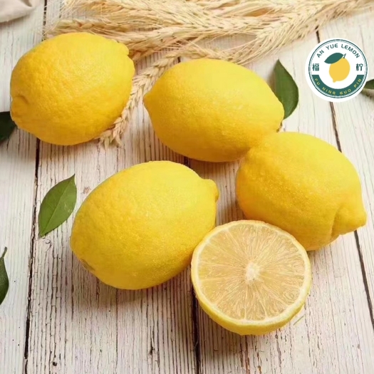 安岳县柠檬  尤力克柠檬  一二级果品  产地果园直销  欢迎订购