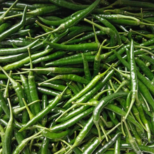 德保县 辣椒，红小米 青小米，朝天椒