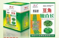 植物营养剂水溶肥 豆角嫩直长