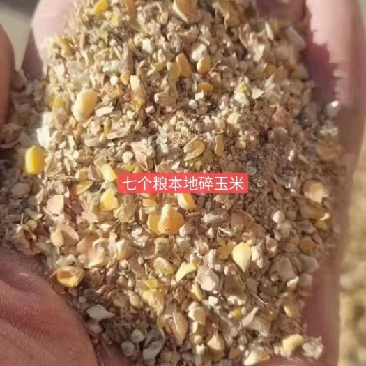 正定县 本地碎玉米，袋装无沙无土，含粮率八个左右，厂家一手货源，