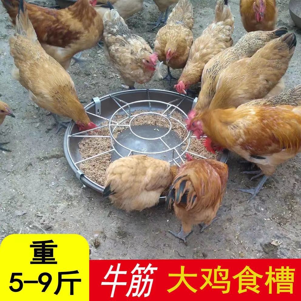 喂鸡的鸡槽打不翻大鸡吃食槽鸡槽子喂鸡食槽塑料鸡盆鸭鹅用饲料