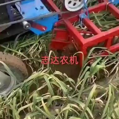 禹城市大蒜收获机  拖垃机前置震动挖蒜 圆洋葱机器 铲蒜机