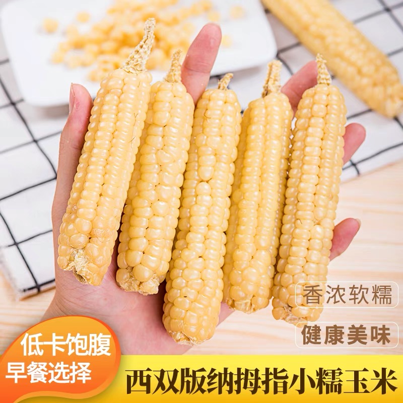 糯玉米 云南西双版纳拇指小，玉米香甜软糯非转基因真空包装鲜玉