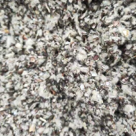 石河子市棉籽壳 新疆直销 中壳中绒 保质保量 量大优惠
