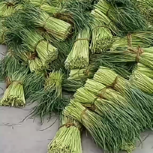 邳州市紅帽蒜苔 新鮮蒜薹，紅帽蒜薹，邳州蒜薹新鮮上市啦