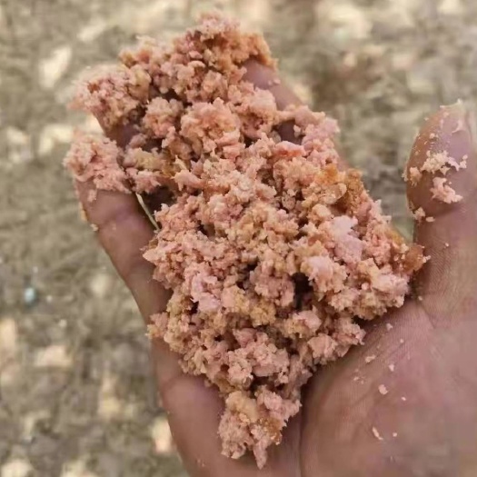 正定县鸭鸭育肥纯肉新鲜火腿碎，大厂一手货源