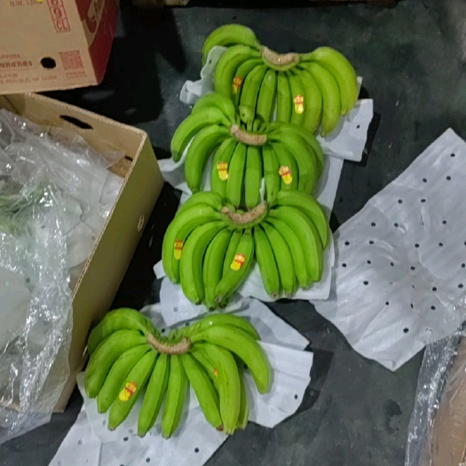 上海芭蕉 菲律宾优惠蕉保证无花皮无黑心无硬心