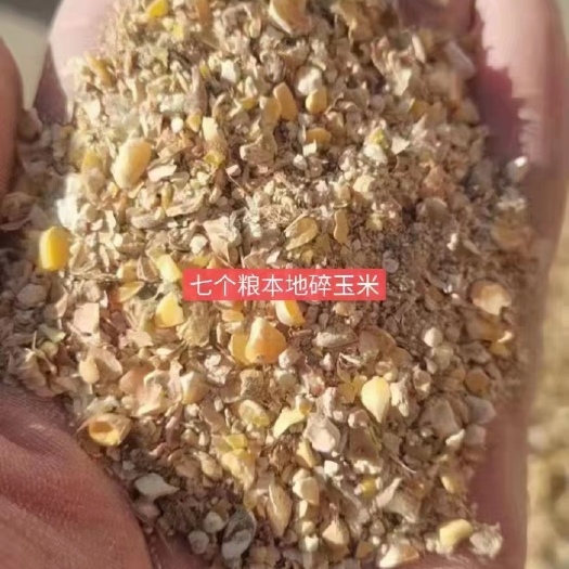 正定县玉米渣 七八个粮碎玉米，厂家一手货源，无沙土，含粮率八个左右